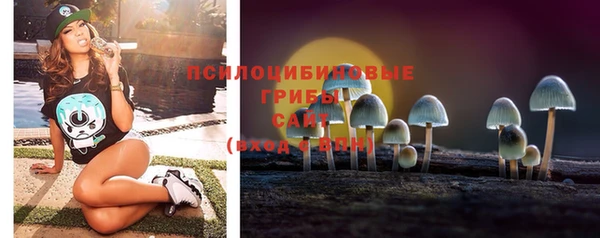 2c-b Верхнеуральск